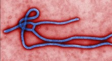 ébola